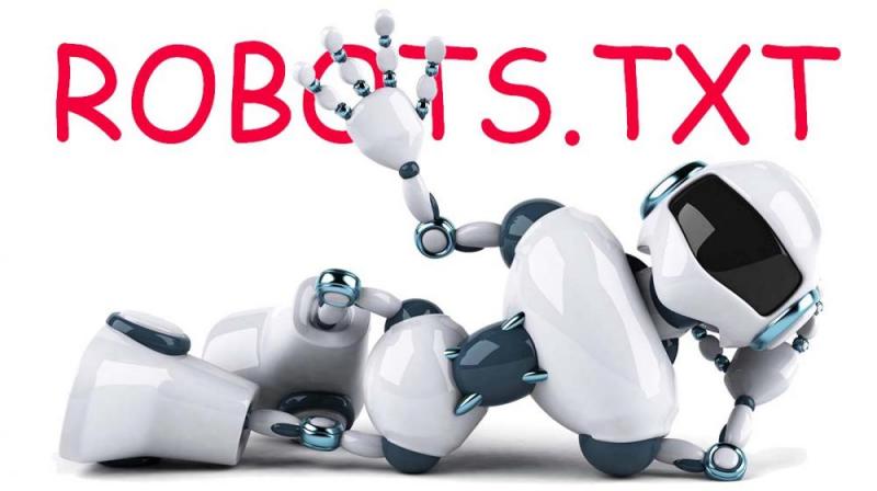 Что такое robots.txt и зачем он нужен в Калининграде